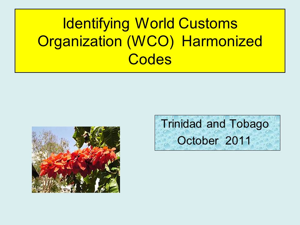 World Customs Organization Adopts Criteria for 